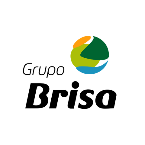 Grupo Brisa